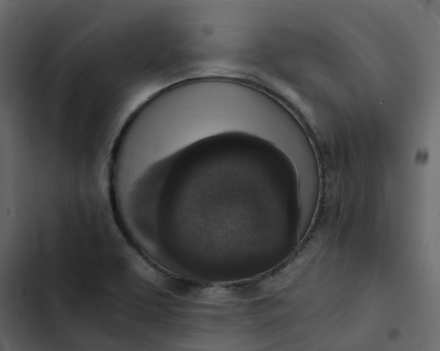 X0000102861463200809021413