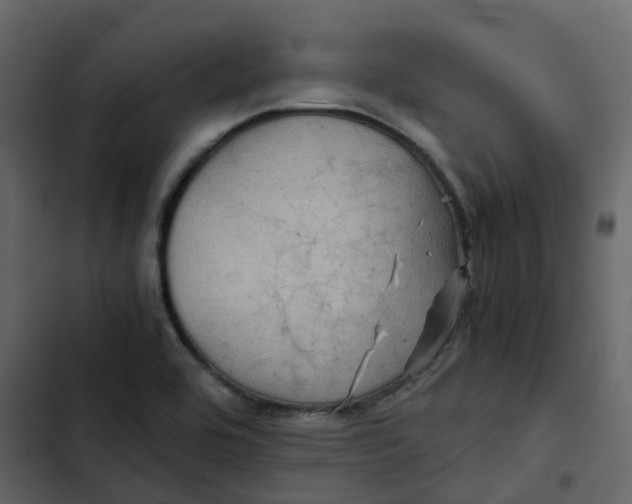 X0000102861464200809021413