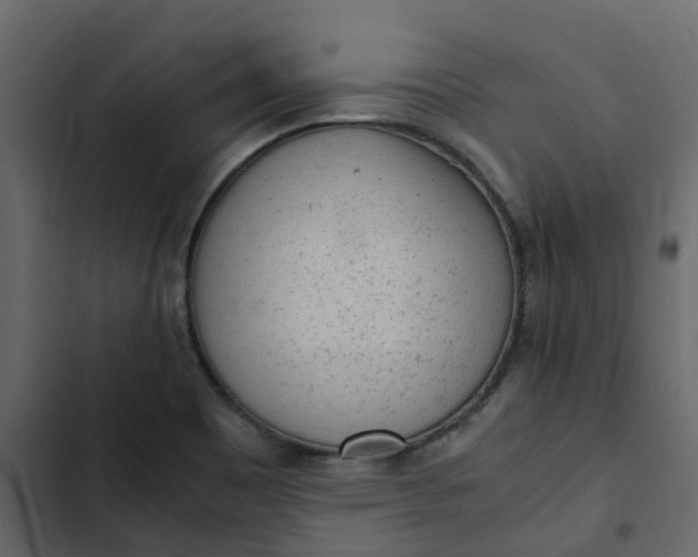 X0000102861465200809021413