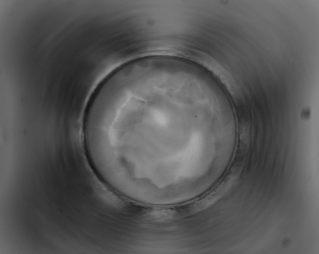 X0000102861466200809021413