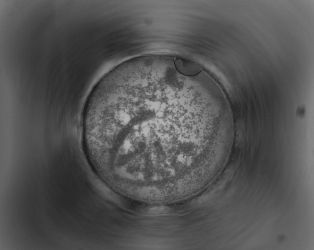 X0000102861467200809021413