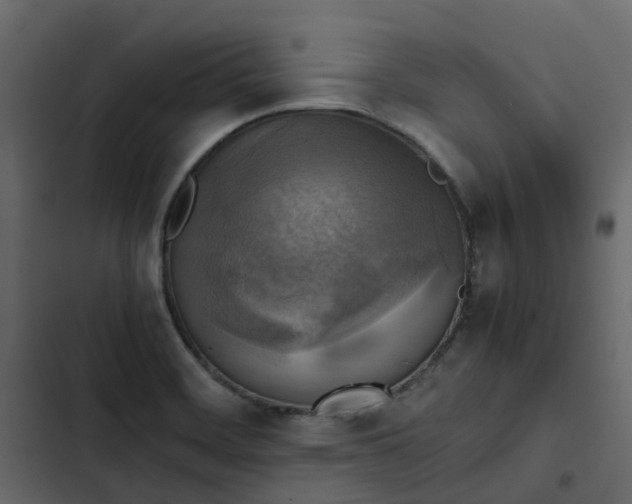 X0000102861468200809021413