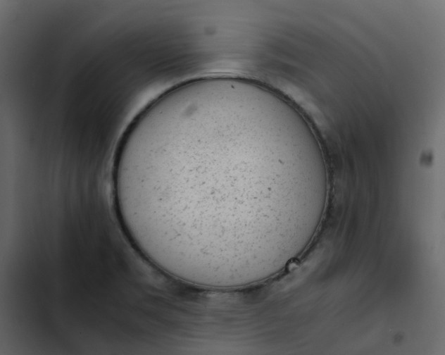 X0000102861469200809021413