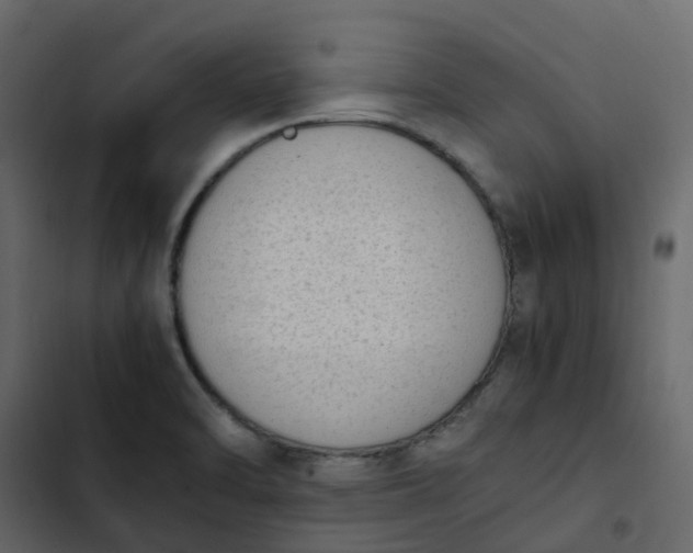 X0000102861470200809021413