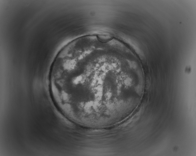 X0000102861471200809021413