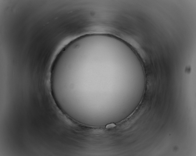 X0000102861472200809021413