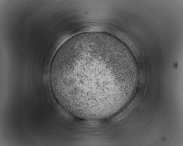 X0000102861473200809021413