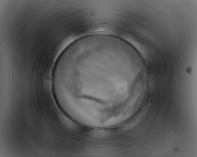 X0000102861474200809021413