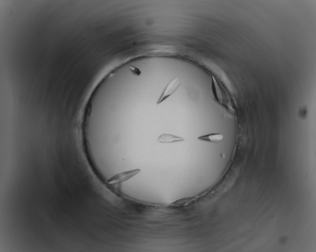 X0000102861475200809021413