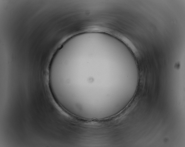 X0000102861476200809021413