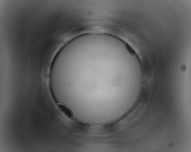 X0000102861477200809021413