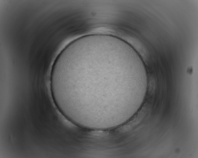 X0000102861478200809021413