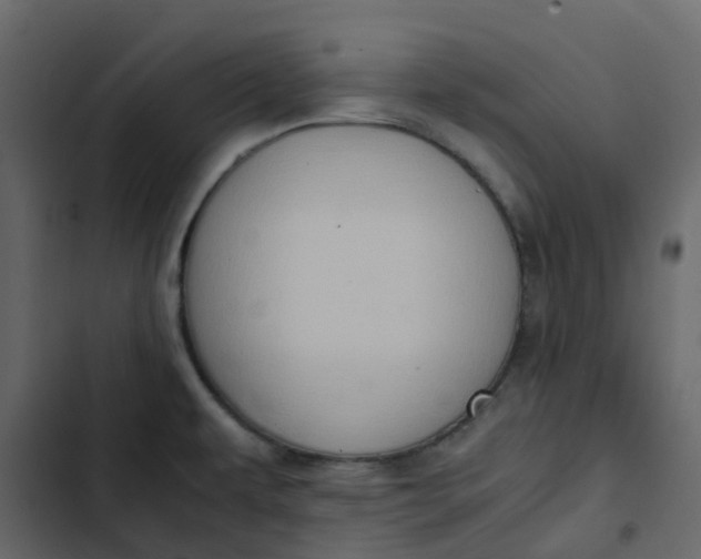 X0000102861479200809021413