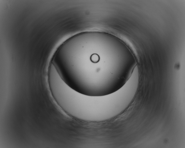 X0000102861480200809021413