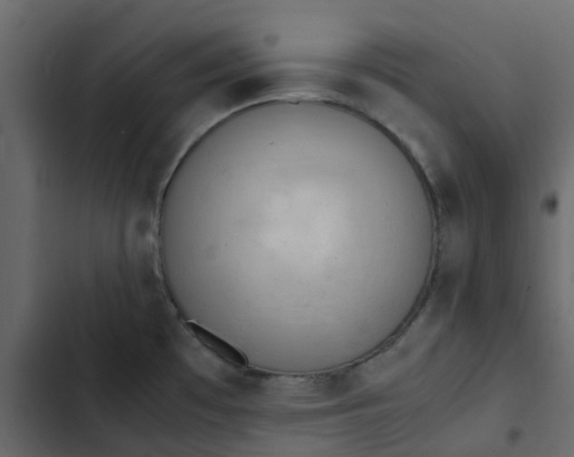 X0000102861481200809021413