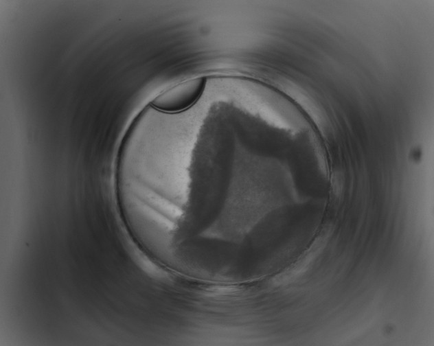 X0000102861482200809021413