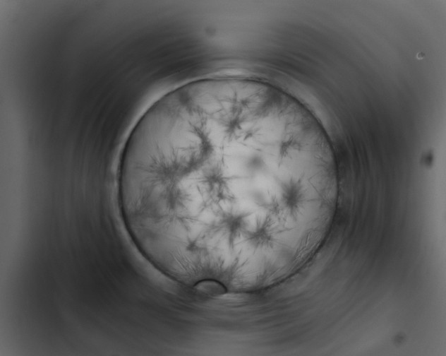 X0000102861483200809021413