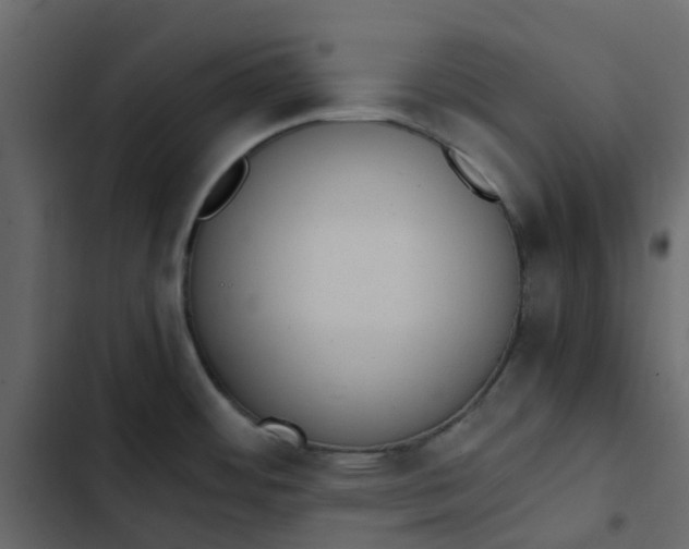 X0000102861484200809021413