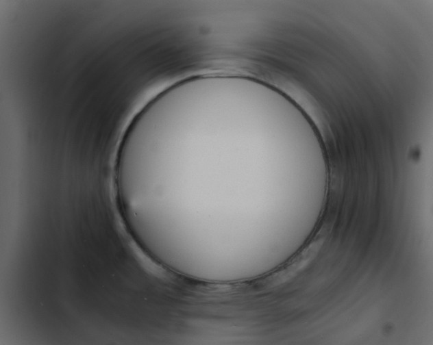 X0000102861485200809021413