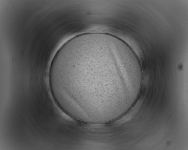 X0000102861486200809021413