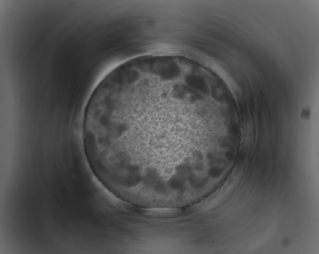 X0000102861487200809021413