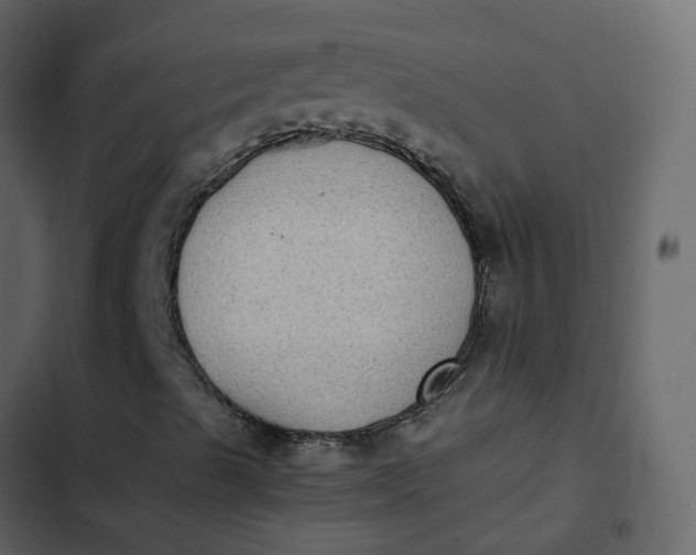 X0000102861489200809021412