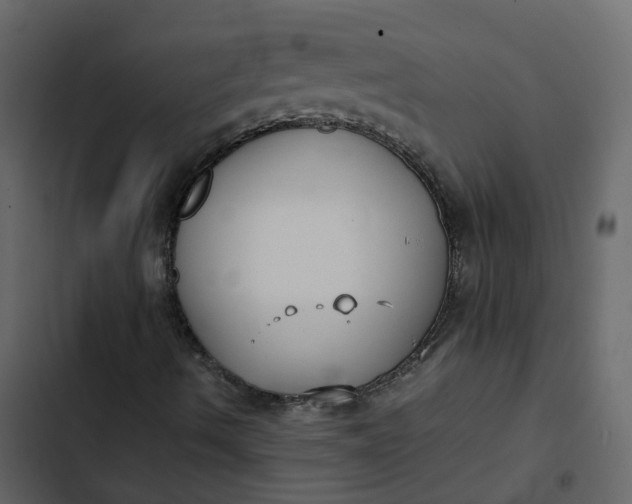 X0000102861490200809021412