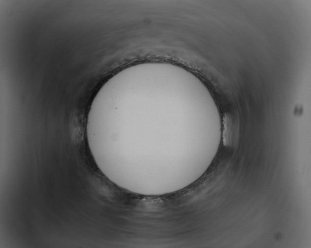 X0000102861491200809021412