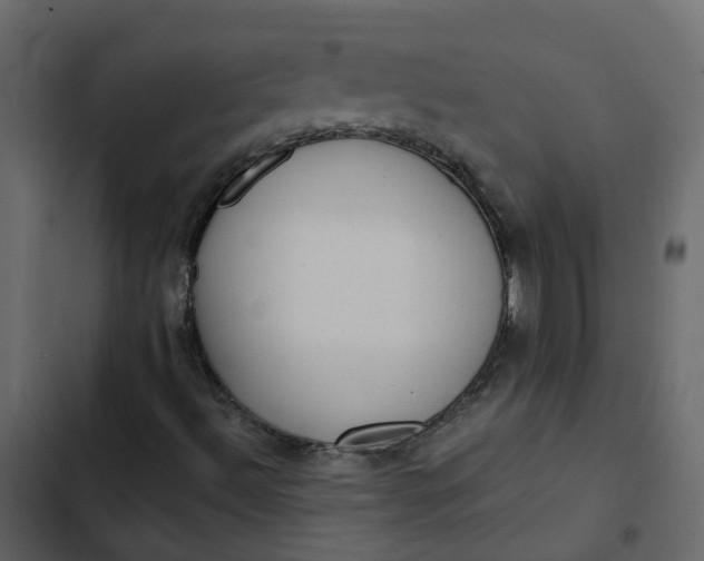 X0000102861492200809021412