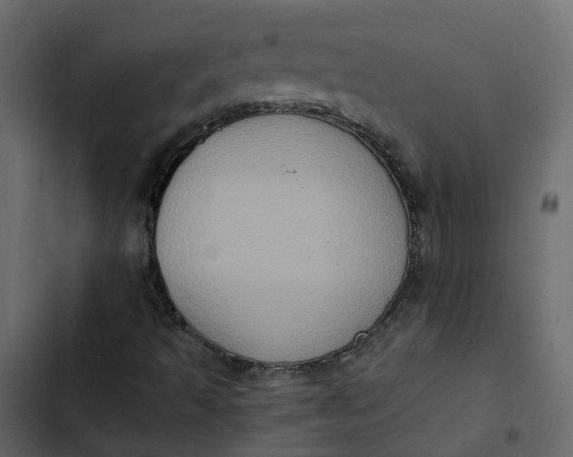 X0000102861493200809021412