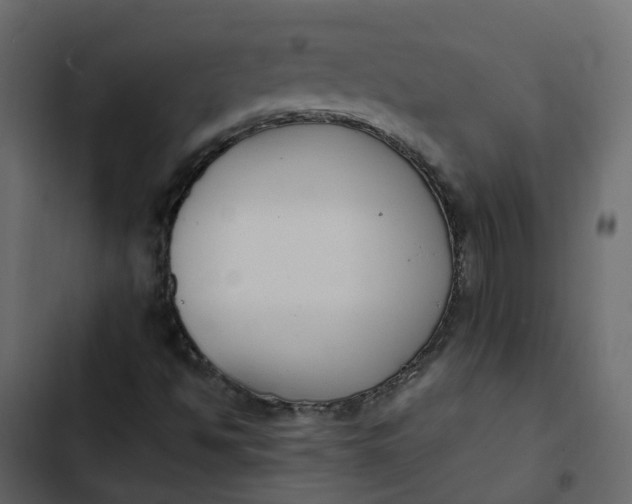 X0000102861494200809021412