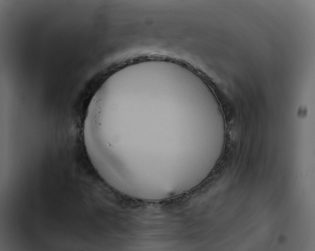 X0000102861495200809021412