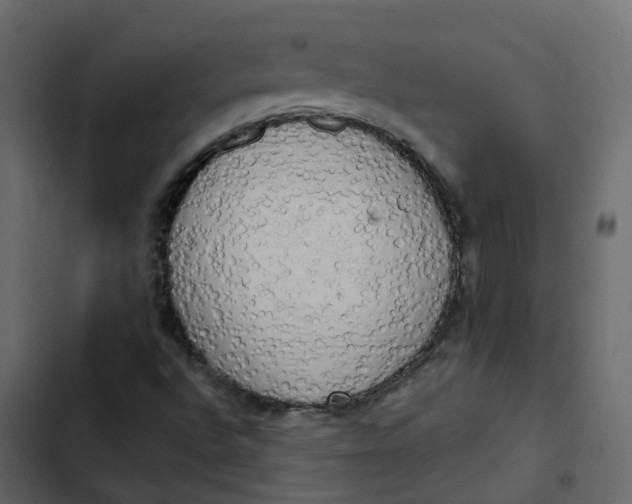 X0000102861496200809021412