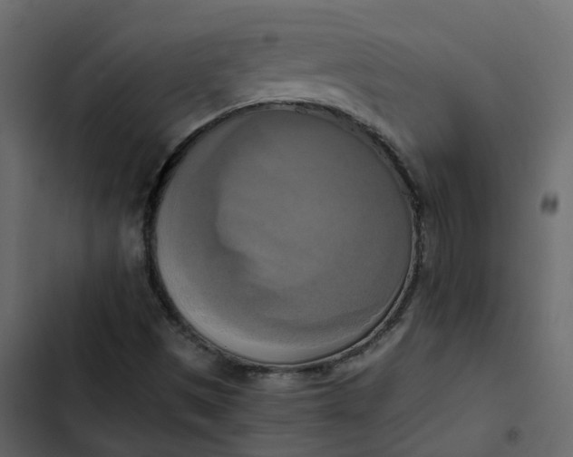 X0000102861497200809021412