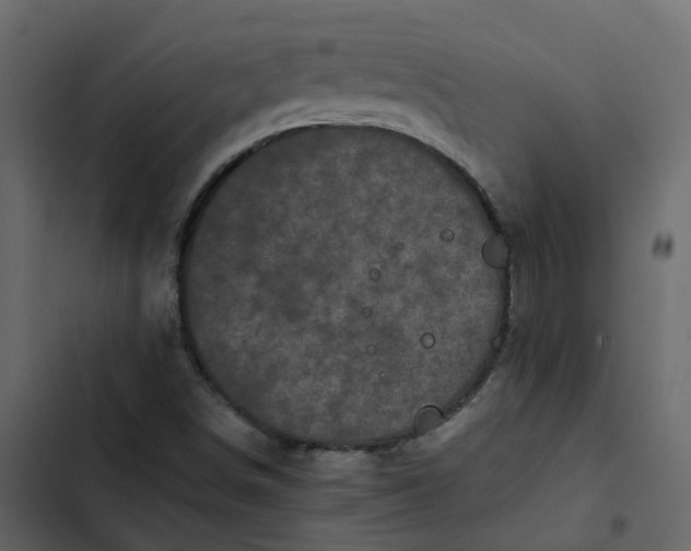 X0000102861498200809021412