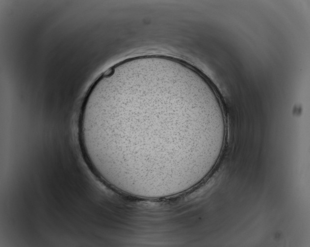 X0000102861500200809021412