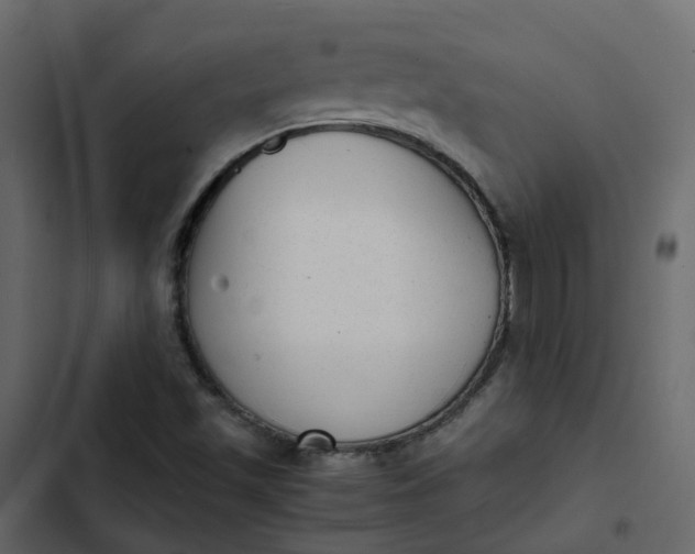 X0000102861501200809021412