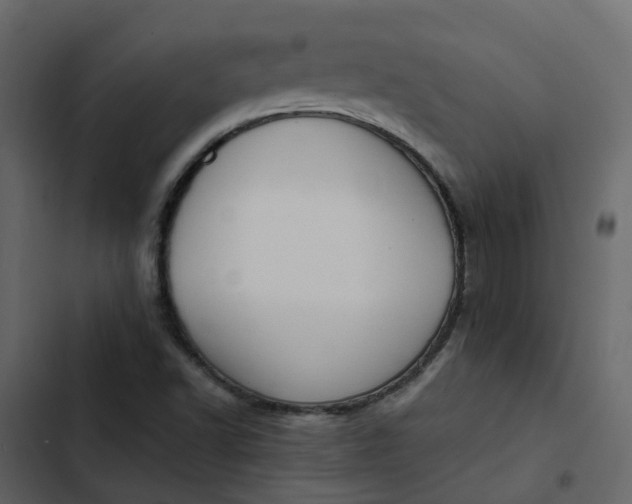 X0000102861502200809021412