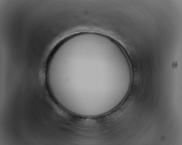 X0000102861503200809021412