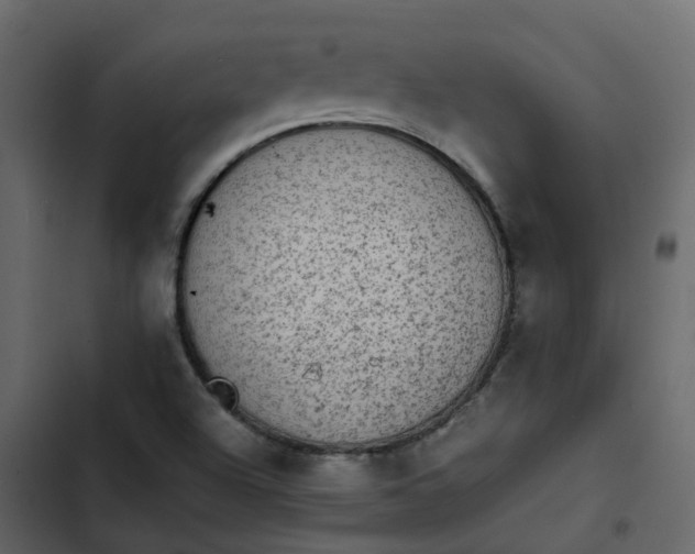 X0000102861504200809021412