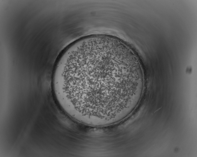 X0000102861505200809021412