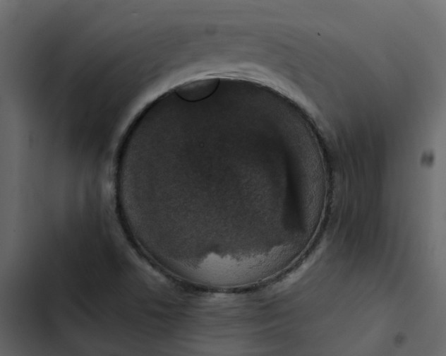 X0000102861506200809021412