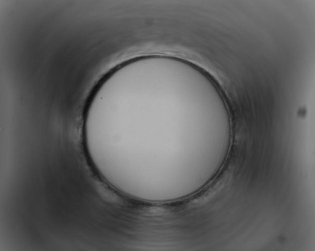 X0000102861507200809021412