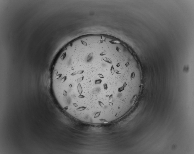 X0000102861509200809021412