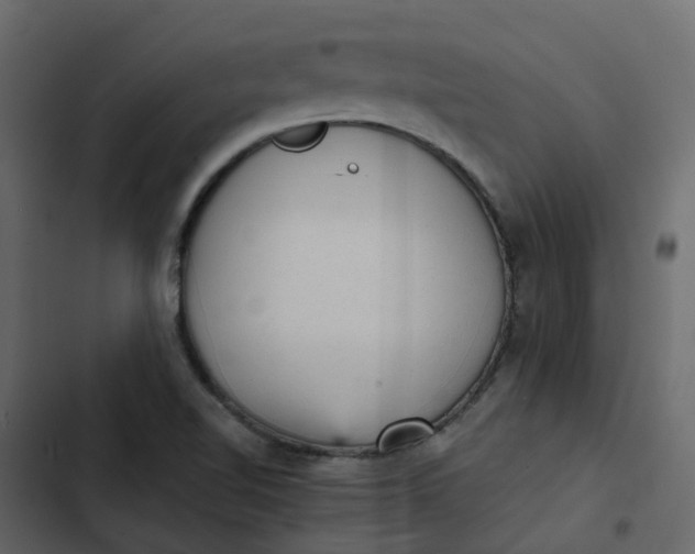 X0000102861510200809021412