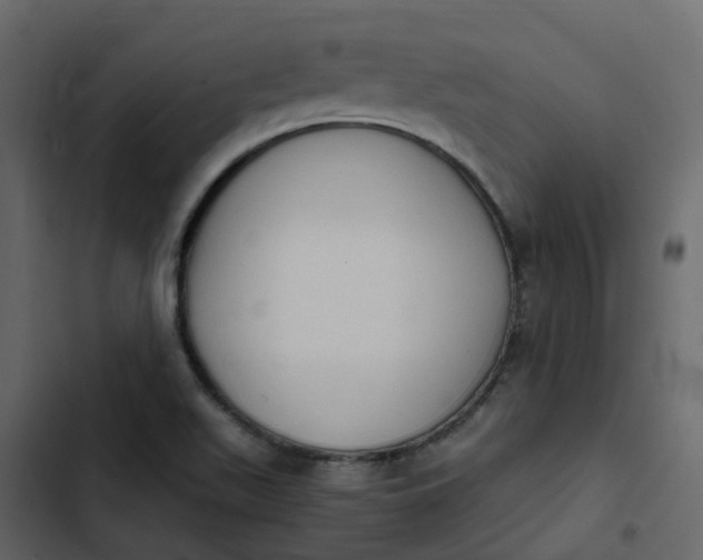 X0000102861511200809021412