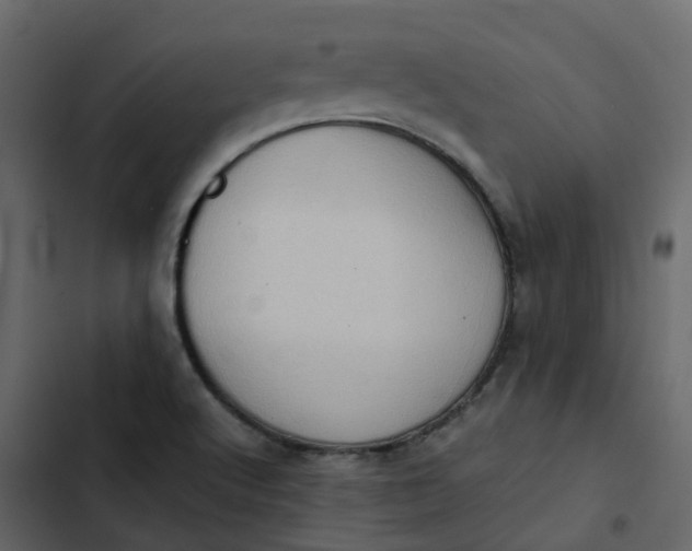 X0000102861512200809021412