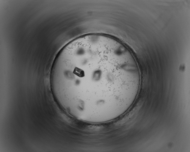 X0000102861513200809021412