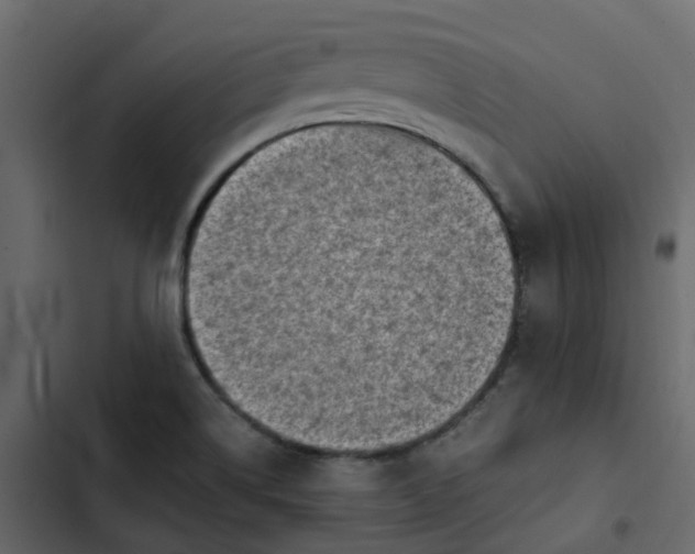 X0000102861514200809021412