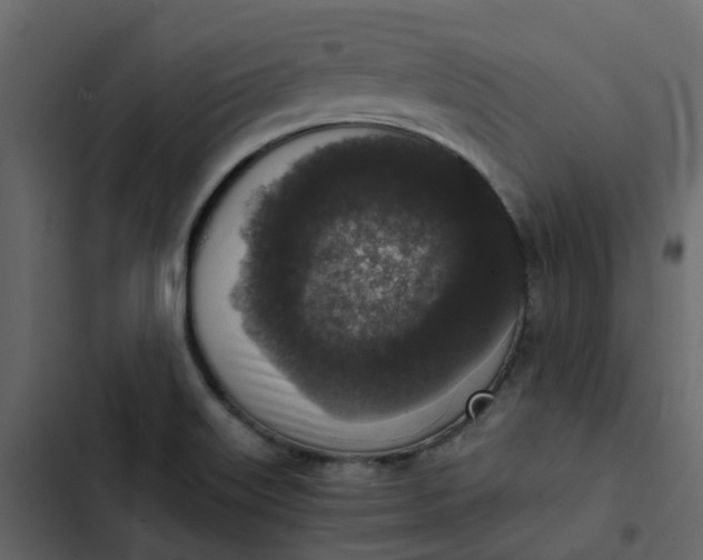 X0000102861515200809021412